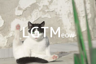 lgtm-cat-image