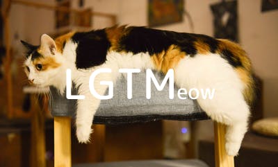 lgtm-cat-image