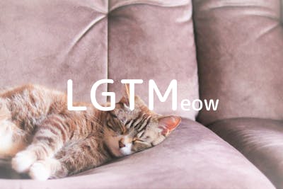 lgtm-cat-image