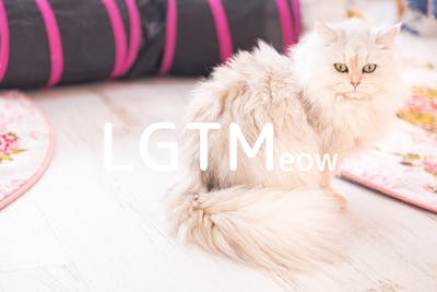 lgtm-cat-image